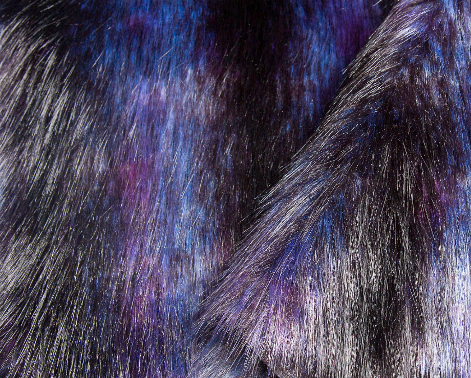 Colorful Raccoon